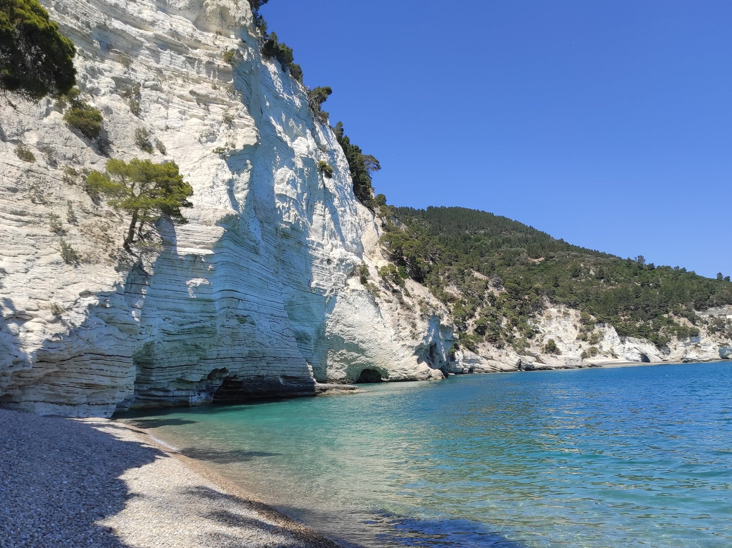 White limestone cliffs and turquoise water at Vignanotica Beach in Gargano National Park