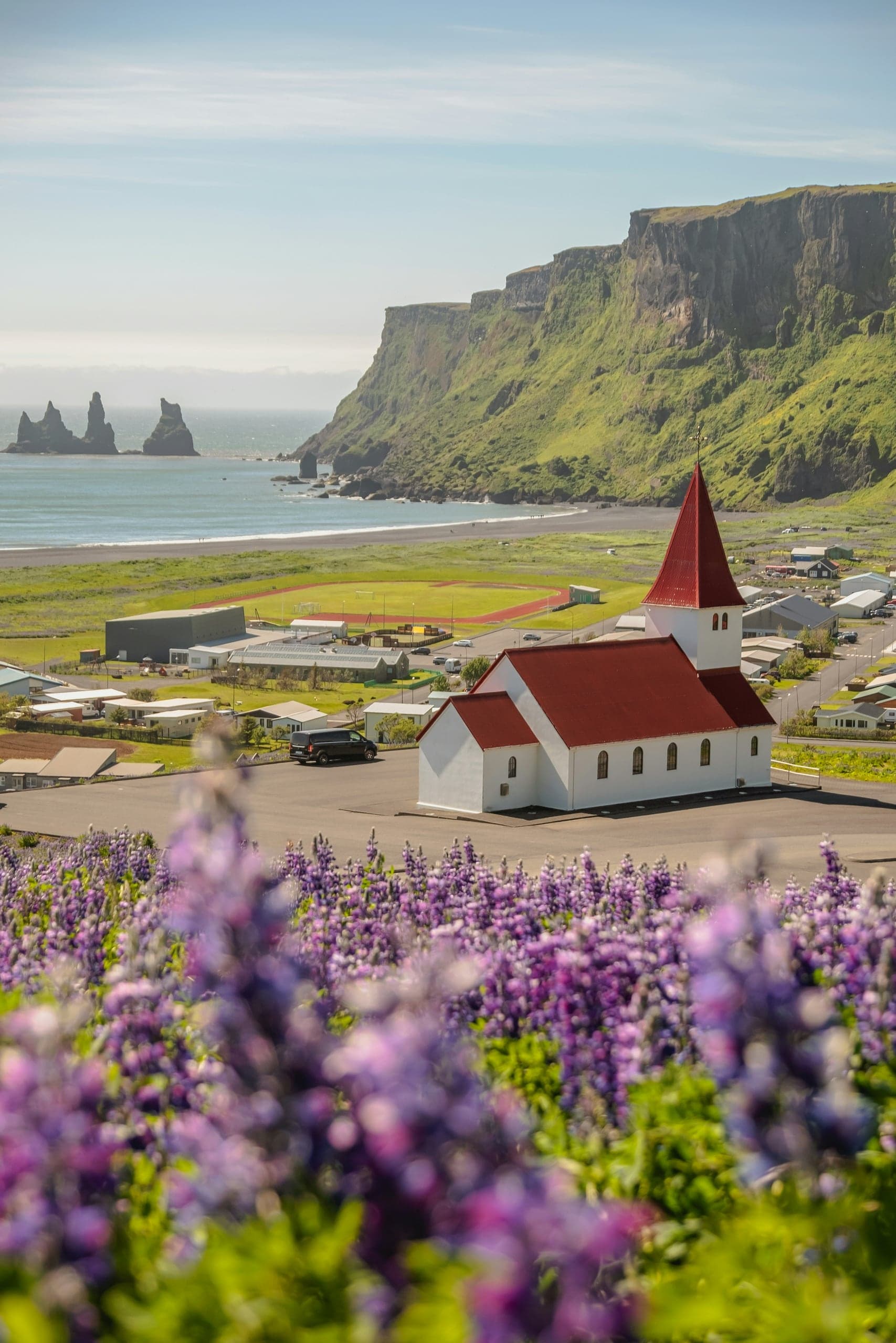 Vík Church above lupines with Reynisdrangar and the coastal cliffs beyond